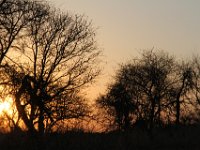 Marion, Romane South Africa 2014 (53 of 63) : KNP Letaba nightdrive, Marion visit